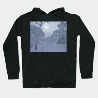 Winter Wonderland Fresh Snow Photo Hoodie